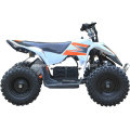 Upbeat 350W / 500W / 800W / 1000W Elektrisches ATV elektrisches Viererkabel-elektrisches